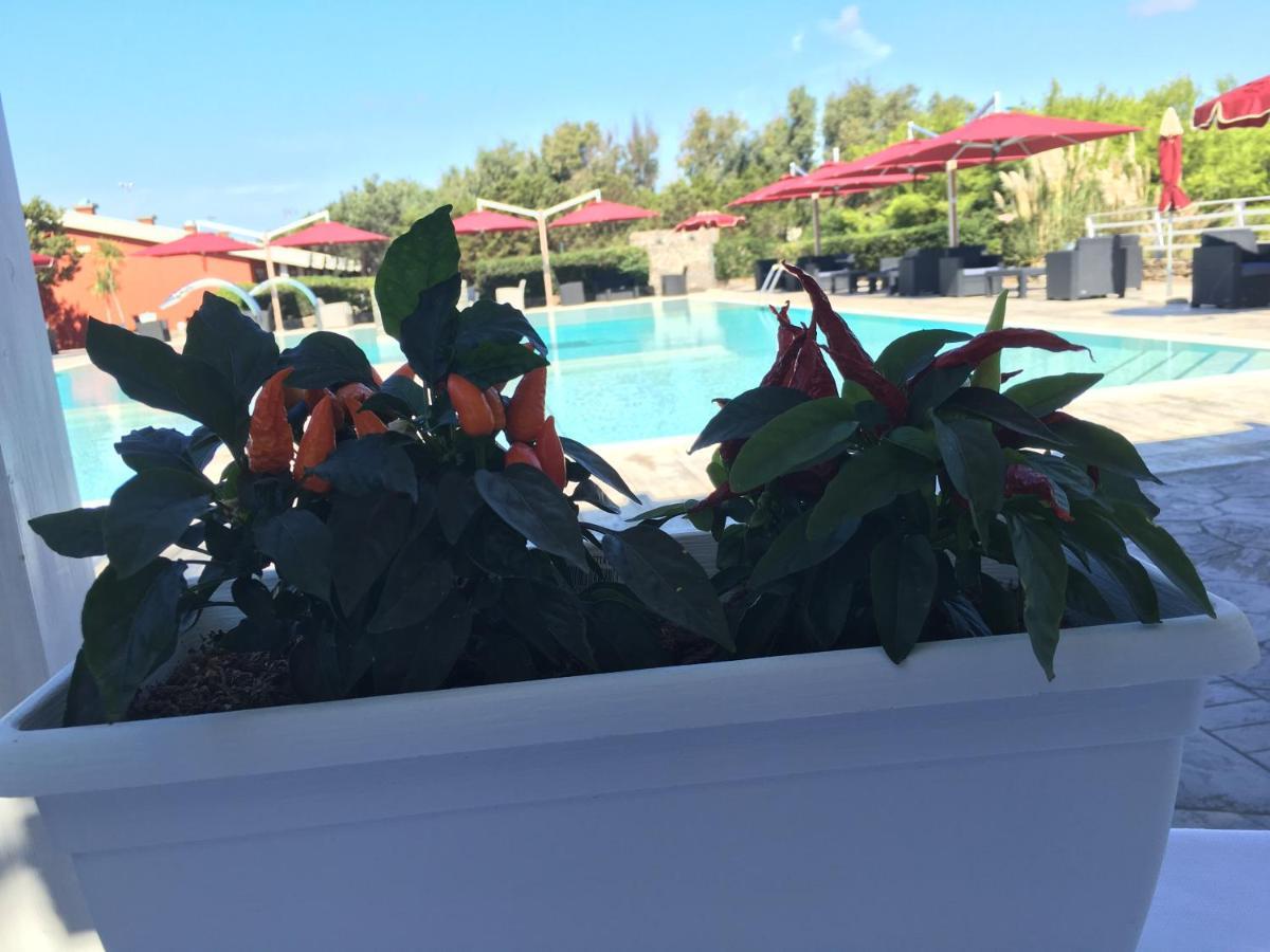 Hotel Club Esse Sporting Stintino